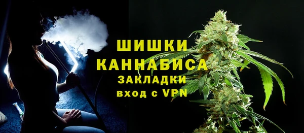 прущие грибы Елабуга