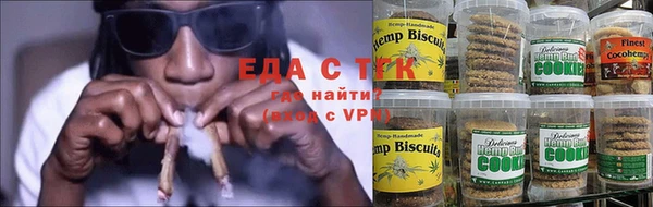 прущие грибы Елабуга