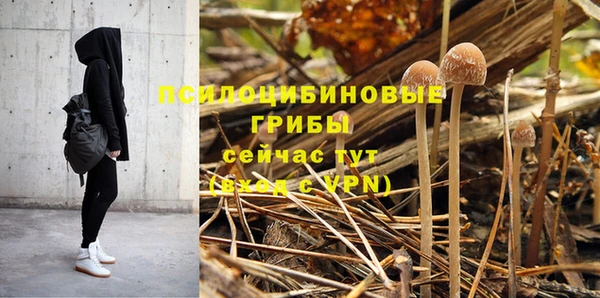 амфетамин Елизово