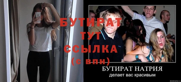 прущие грибы Елабуга