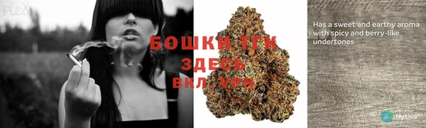 гашиш Ельня