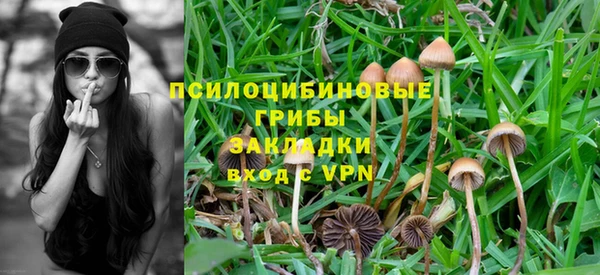 амфетамин Елизово