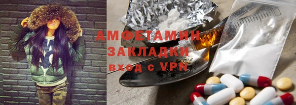 прущие грибы Елабуга