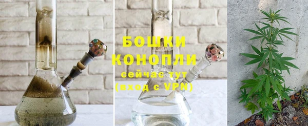 прущие грибы Елабуга