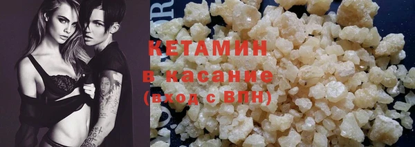 прущие грибы Елабуга