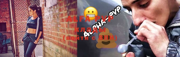 прущие грибы Елабуга