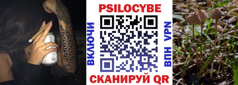 купить наркотик MEGA ссылка Псилоцибиновые грибы мухоморы Кадников